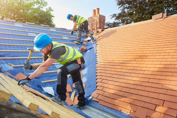 Best Solar Panel Roofing Installation  in Seneca, IL